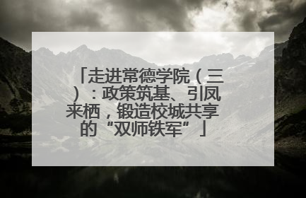 走进常德学院（三）：政策筑基、引凤来栖，锻造校城共享的“双师铁军”