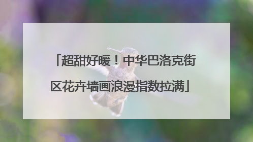 超甜好暖！中华巴洛克街区花卉墙画浪漫指数拉满