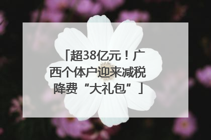 超38亿元！广西个体户迎来减税降费“大礼包”