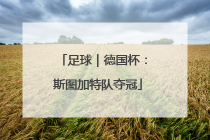 足球｜德国杯：斯图加特队夺冠