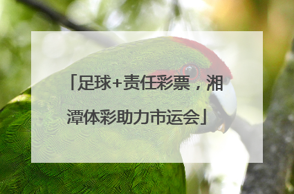 足球+责任彩票，湘潭体彩助力市运会