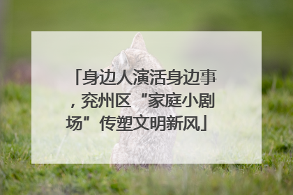 身边人演活身边事，兖州区“家庭小剧场”传塑文明新风
