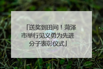 送奖到田间！菏泽市举行见义勇为先进分子表彰仪式
