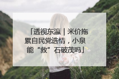 透视东瀛｜米价拖累自民党选情，小泉能“救”石破茂吗