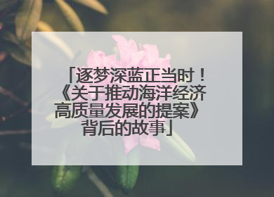 逐梦深蓝正当时！《关于推动海洋经济高质量发展的提案》背后的故事