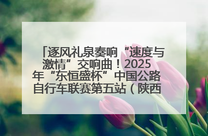 逐风礼泉奏响“速度与激情”交响曲！2025年“东恒盛杯”中国公路自行车联赛第五站（陕西·礼泉站）正式开赛
