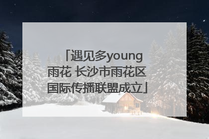 遇见多young雨花 长沙市雨花区国际传播联盟成立