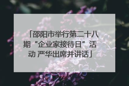 邵阳市举行第二十八期“企业家接待日”活动 严华出席并讲话