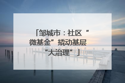 邹城市：社区“微基金”撬动基层“大治理”