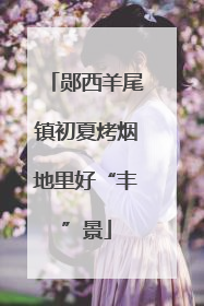 郧西羊尾镇初夏烤烟地里好“丰”景