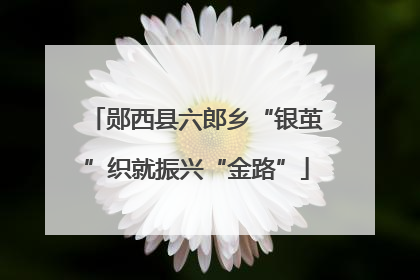 郧西县六郎乡“银茧”织就振兴“金路”