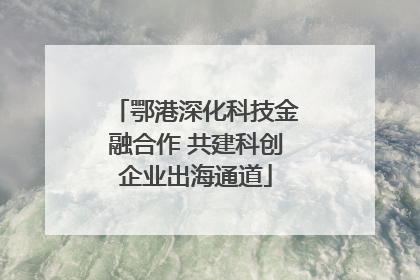 鄂港深化科技金融合作 共建科创企业出海通道