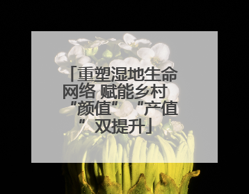 重塑湿地生命网络 赋能乡村“颜值”“产值”双提升