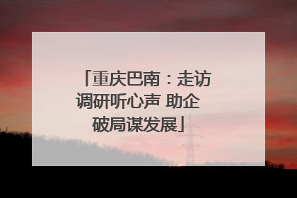 重庆巴南：走访调研听心声 助企破局谋发展