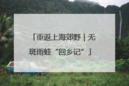 重返上海郊野｜无斑雨蛙“回乡记”