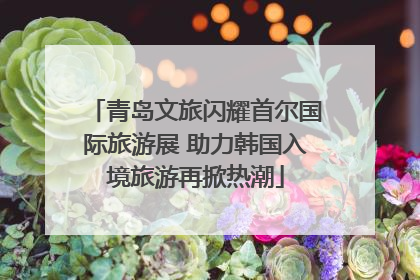 青岛文旅闪耀首尔国际旅游展 助力韩国入境旅游再掀热潮