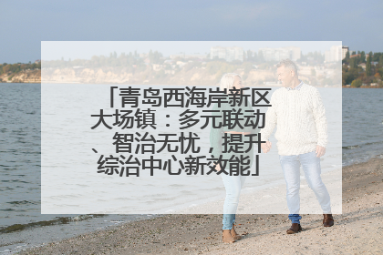 青岛西海岸新区大场镇：多元联动、智治无忧，提升综治中心新效能