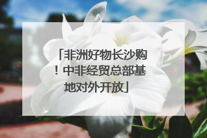 非洲好物长沙购！中非经贸总部基地对外开放