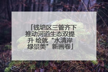钱塘区三管齐下推动河道生态双提升 绘就“水清岸绿景美”新画卷