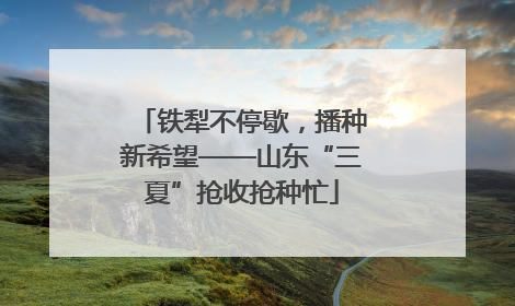 铁犁不停歇，播种新希望——山东“三夏”抢收抢种忙
