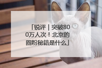 锐评｜突破800万人次！北京的圈粉秘籍是什么
