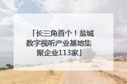 长三角首个！盐城数字视听产业基地集聚企业113家