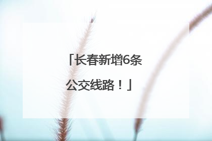 长春新增6条公交线路！