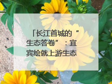 长江首城的“生态答卷”：宜宾绘就上游生态屏障新图景｜中华环保世纪行