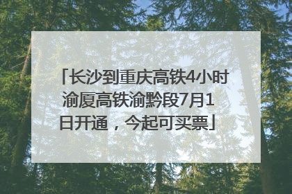 长沙到重庆高铁4小时 渝厦高铁渝黔段7月1日开通，今起可买票