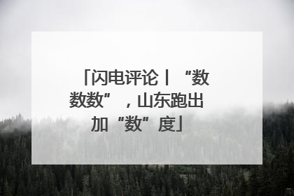 闪电评论丨“数数数”，山东跑出加“数”度