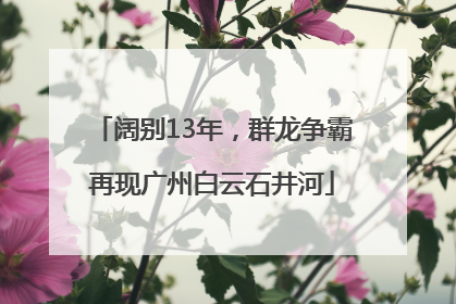 阔别13年，群龙争霸再现广州白云石井河