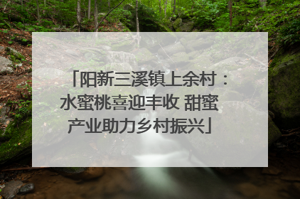 阳新三溪镇上余村：水蜜桃喜迎丰收 甜蜜产业助力乡村振兴