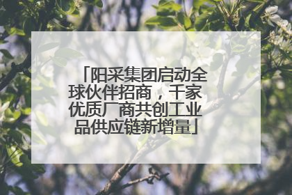 阳采集团启动全球伙伴招商，千家优质厂商共创工业品供应链新增量