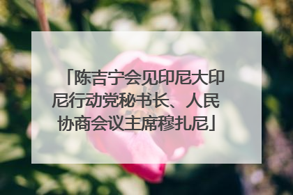 陈吉宁会见印尼大印尼行动党秘书长、人民协商会议主席穆扎尼