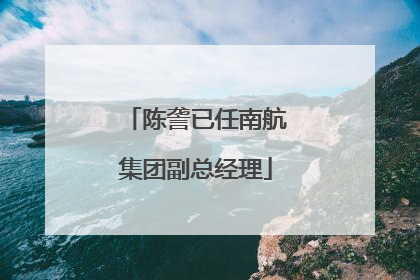 陈詟已任南航集团副总经理