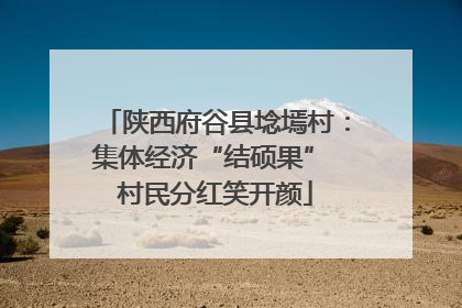 陕西府谷县埝墕村：集体经济“结硕果” 村民分红笑开颜