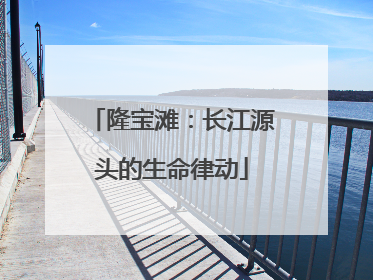 隆宝滩：长江源头的生命律动