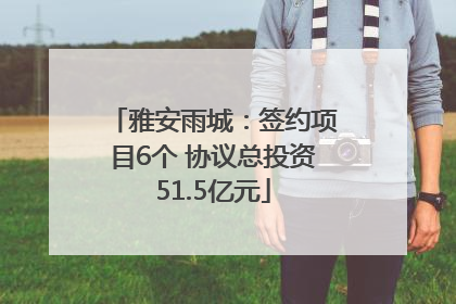 雅安雨城：签约项目6个 协议总投资51.5亿元