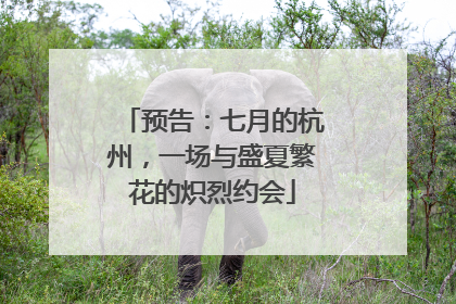 预告：七月的杭州，一场与盛夏繁花的炽烈约会