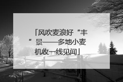 风吹麦浪好“丰”景——多地小麦机收一线见闻
