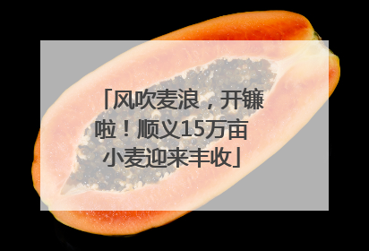 风吹麦浪，开镰啦！顺义15万亩小麦迎来丰收