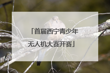 首届西宁青少年无人机大赛开赛