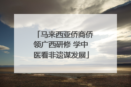 马来西亚侨商侨领广西研修 学中医看非遗谋发展