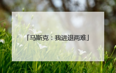 马斯克：我进退两难