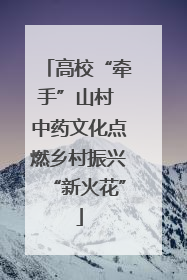 高校“牵手”山村 中药文化点燃乡村振兴“新火花”