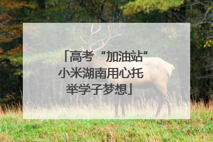 高考“加油站” 小米湖南用心托举学子梦想