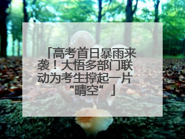 高考首日暴雨来袭！大悟多部门联动为考生撑起一片“晴空”