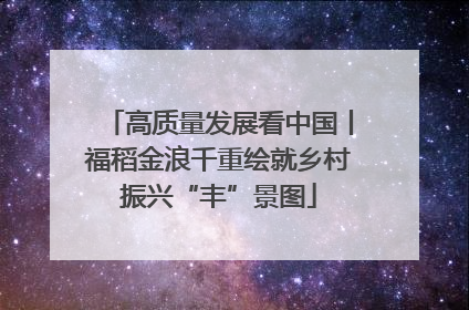 高质量发展看中国丨福稻金浪千重绘就乡村振兴“丰”景图