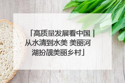 高质量发展看中国｜从水清到水美 美丽河湖扮靓美丽乡村