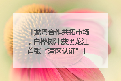 龙粤合作共拓市场，白桦树汁获黑龙江首张“湾区认证”